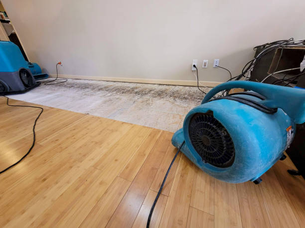 Professional Flood Damage Cleanup technician working in Wilson, PA